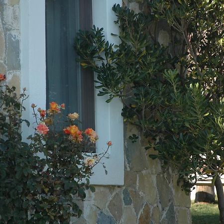 Mavikarga Bozcaada Bed & Breakfast Bagian luar foto