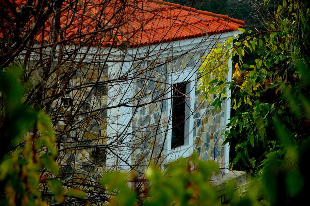 Mavikarga Bozcaada Bed & Breakfast Bagian luar foto